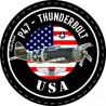 PATCH P47 THUNDERBOLT