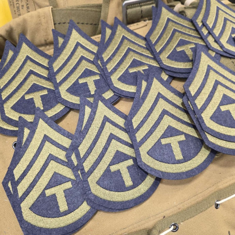 LOT X10 PAIRES DE GALONS T3D SERGEANT TECH