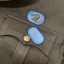 PATCH OVAL 502TH PIR