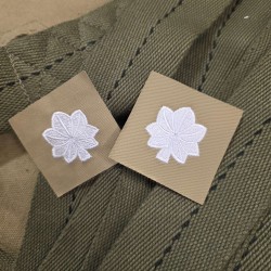 GALONS TISSU LT COLONEL